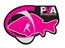 PVA Program