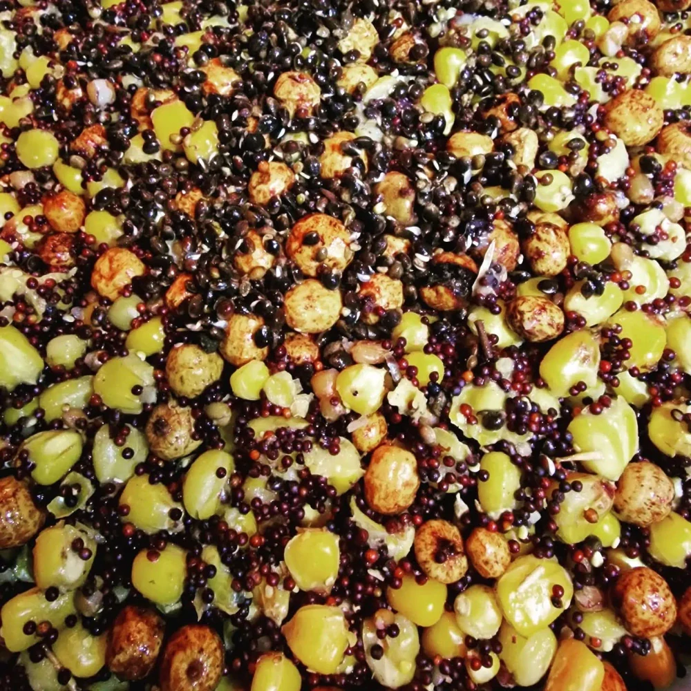 Varený partikel 4MIX 10kg