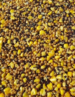 Varený partikel 3MIX 25kg